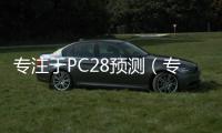 专注于PC28预测（专注pc28预测走势）